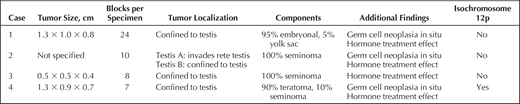 Summary of Gross, Microscopic, and Molecular Characteristics of Incidental Testicular Neoplasms