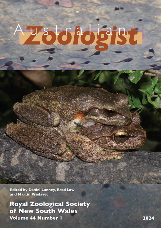 Field observation of an Oenpelli Rock Python predating on a Rufous Owl ...