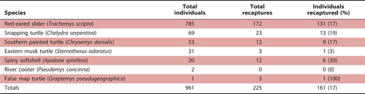Number of total individuals captured, total recaptures, and individuals recaptured (%) for seven turtle species captured at Big Oak Tree State Park, Missouri, from 22 April to 27 September 2007.