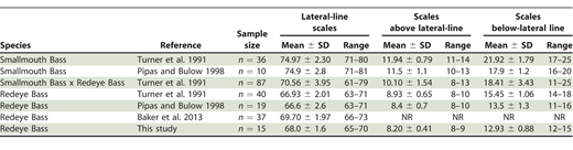 We compared scale meristic data from putative Redeye Bass Micropterus coosae sampled from the Verde River, Arizona, in 2018 (n = 15) with published data from Smallmouth Bass M. dolomieu, and known Redeye Bass × Smallmouth Bass hybrids for lateral-line scales, scales above lateral line, and scales below lateral line. Means are presented with ± standard deviations. “NR” indicates that values and standard deviations were not reported.