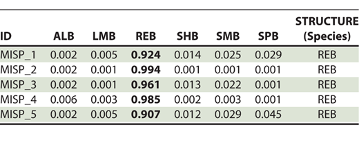 We genotyped 5 individuals of putative Redeye Bass Micropterus coosae sampled from the Verde River in 2018 for 64 Single Nucleotide Polymorphism (SNP) markers and compared them with black bass Micropterus species commonly introduced outside of their native range. Specimen ID and STRUCTURE assignments (Q-value) for putative M. coosae origin from the Verde River system in Arizona from a 64-SNP panel diagnostic for 6 Micropterus taxa (ALB = Alabama Bass M. henshalli; LMB = Largemouth Bass M. salmoides; REB = Redeye Bass M. coosae; SHB = Shoal Bass M. cataractae; SMB = Smallmouth Bass M. dolomieu; SPB = Spotted Bass M. punctulatus). Q-values ≥0.05 are in bold.