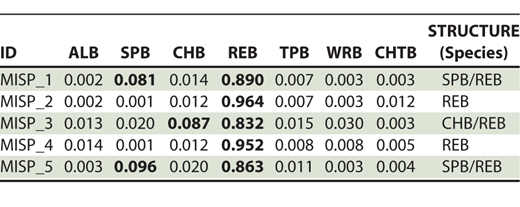 We genotyped 5 individuals of putative Redeye Bass Micropterus coosae sampled from the Verde River in 2018 for 64 Single Nucleotide Polymorphism (SNP) markers and compared them with other members of the Redeye Bass complex and closely related species. Specimen ID and STRUCTURE assignments (Q-value) are presented for the putative Redeye Bass from the Verde River system in Arizona compared with reference populations of Alabama Bass M. henshalli (ALB), Spotted Bass M. punctulatus (SPB), and five of the described species of the Redeye Bass complex: CHB = Cahaba Bass M. cahabae; REB = Redeye Bass M. coosae; TLPB = Tallapoosa Bass M. tallapoosae; WRB = Warrior Bass M. warriorensis; CHTB = Chattahoochee Bass M. chattahoochae. Q-values ≥0.05 are in bold.
