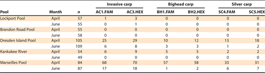 Summary of positive detections of bigheaded carp environmental DNA from Hypophthalmichthys spp. (AC), bighead carp H. nobilis (BH), and silver carp H. molitrix (SC) from the U.S. Fish and Wildlife Service Monitoring program in the Illinois River Basin in 2015 grouped by pool, month, and quantitative polymerase chain reaction markers (refer to the Laboratory methods section for an explanation of the markers). We designated a sample as positive if fluorescence was detected in one or more of eight quantitative polymerase chain reaction replicates. n indicates the total number of samples per site.