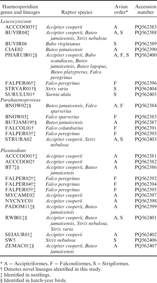 Haemosporidian lineages identified in raptors sampled from Minnesota and North Dakota, 2011–2017.