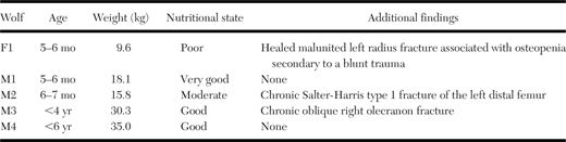 Signalment, nutritional status, and additional pathologic findings observed on full-body radiographs of five related gray wolves (Canis lupus lupus), three juvenile siblings (female F1, males M1 and M2) and their sire (M3) and grandsire (M4). The wolves were legally shot in Switzerland in 2022 and 2023. Osteochondrosis was observed in the three immature siblings (F1, M1 and M2).