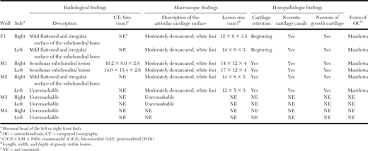 Radiologic, macroscopic, and histopathologic findings in the humeral heads of five related gray wolves (Canis lupus lupus). The wolves, three juvenile siblings (female F1, males M1 and M2) and their sire M3 and grandsire M4, were legally shot in Switzerland in 2022 and 2023. The radiologic and macroscopic descriptions report the appearance of the caudal aspects of the humeral head in the wolves.