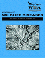 PATHOLOGY OF AURAL ABSCESSES IN FREE-LIVING EASTERN BOX TURTLES ...
