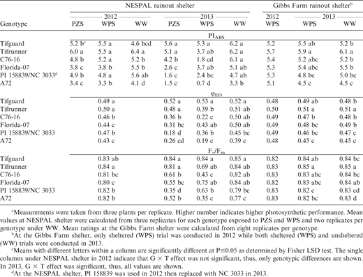 Meana performance index (PIABS), quantum yield of electron transport (ϕEO) and maximum quantum yield of photosystem II (Fv/Fm) of the peanut genotypes exposed to pod zone stress (PZS), whole plant stress (WPS), and well-watered (WW) treatments and to WPS and WW conditions at the NESPAL and the Gibbs Farm rainout shelters, respectively.