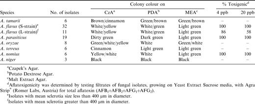 Characterization of Aspergillus spp. isolates on Czapek's Agar, Potato Dextrose Agar, and Malt Extract Agar and the determination of afltoxigenicity of the isolates.